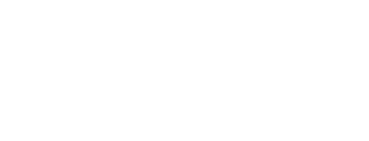 Alessanddra Nirrwaan logo
